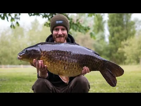Bluebell Lakes, Kingfisher. May '18